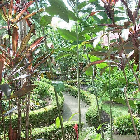 La Palapa Ecolodge Portalon ภายนอก รูปภาพ