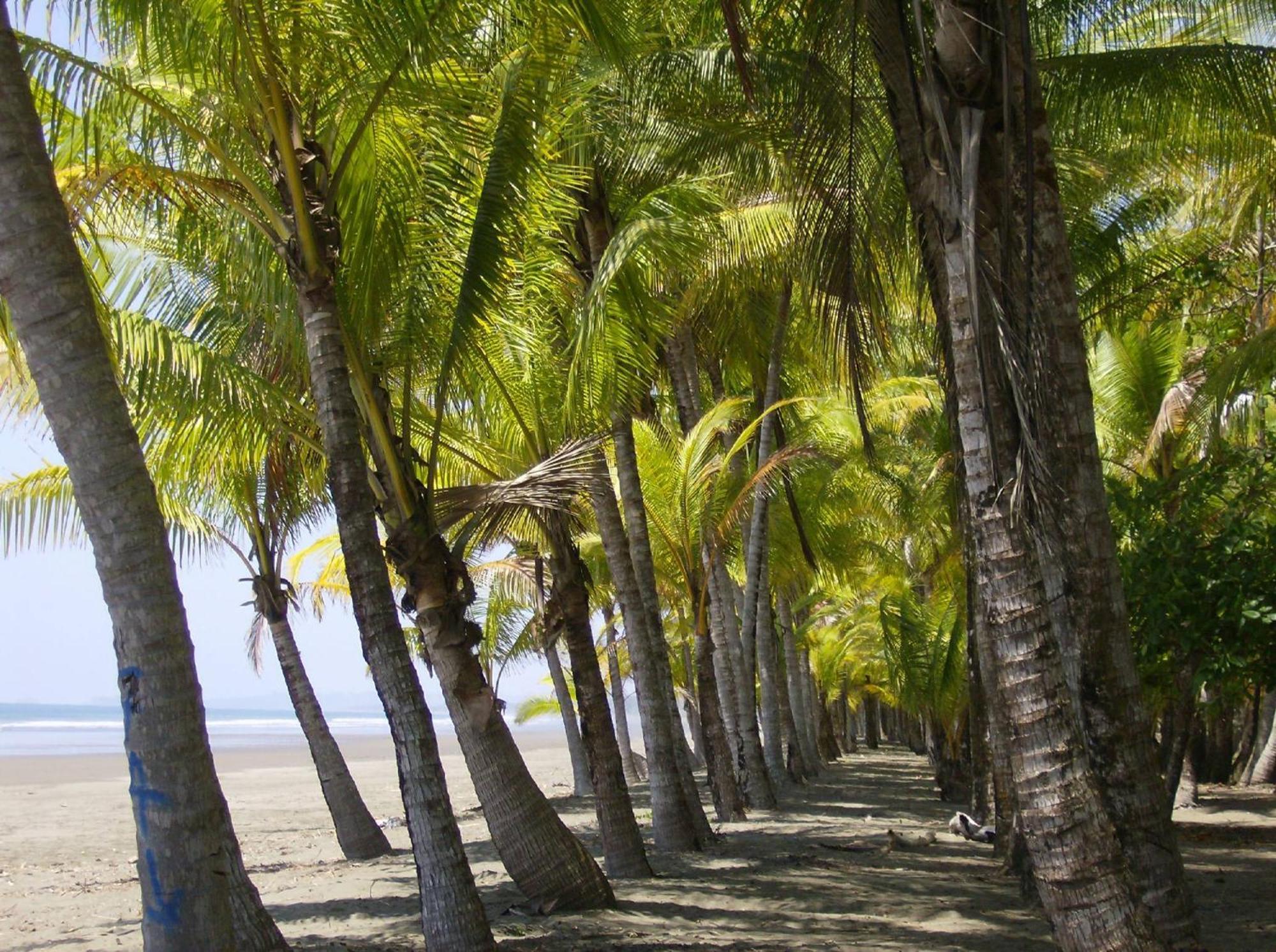 La Palapa Ecolodge Portalon ภายนอก รูปภาพ