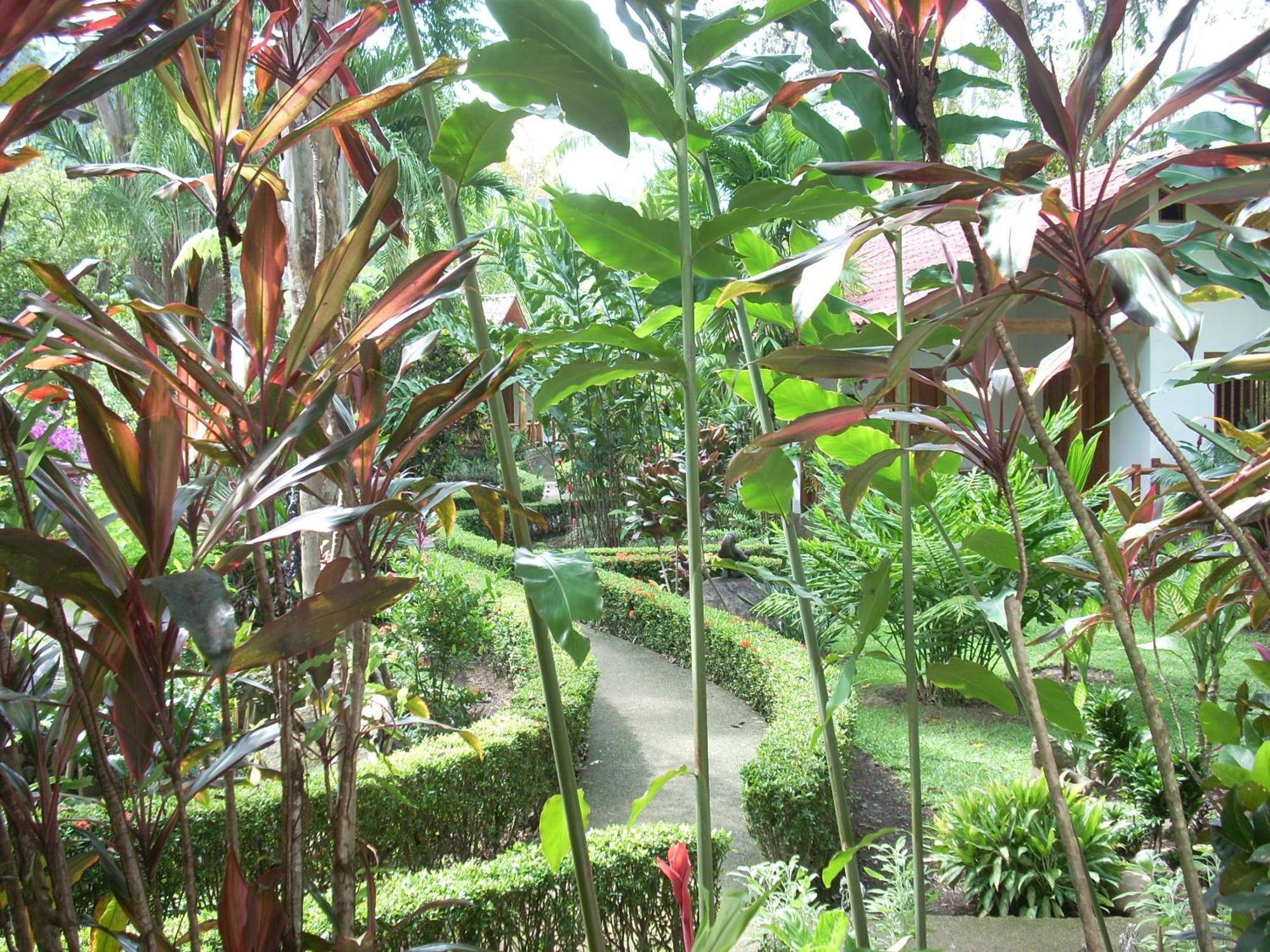 La Palapa Ecolodge Portalon ภายนอก รูปภาพ