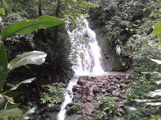 La Palapa Ecolodge Portalon ภายนอก รูปภาพ