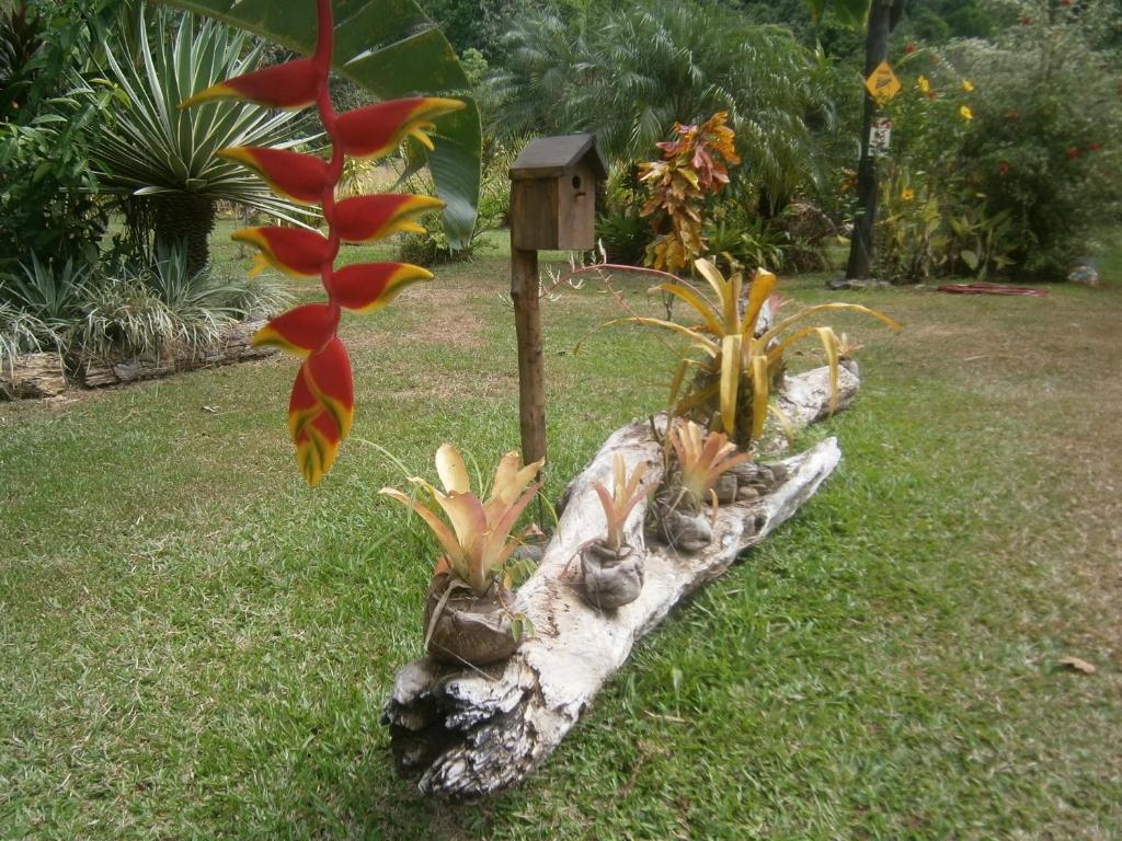La Palapa Ecolodge Portalon ภายนอก รูปภาพ