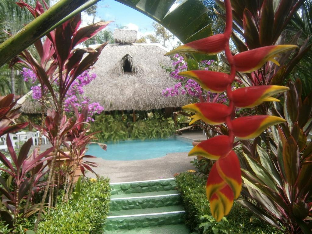 La Palapa Ecolodge Portalon ภายนอก รูปภาพ