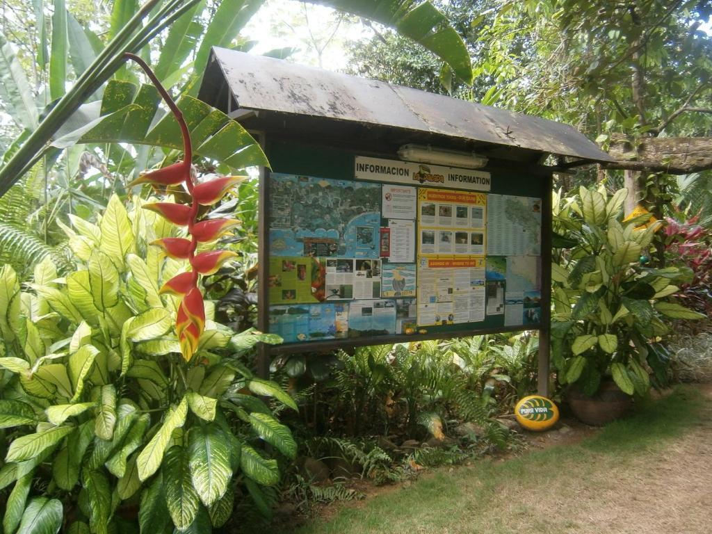 La Palapa Ecolodge Portalon ภายนอก รูปภาพ