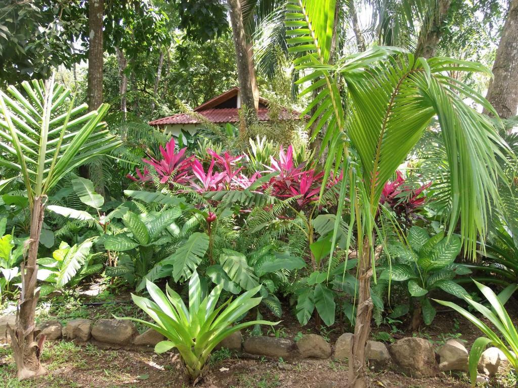 La Palapa Ecolodge Portalon ภายนอก รูปภาพ