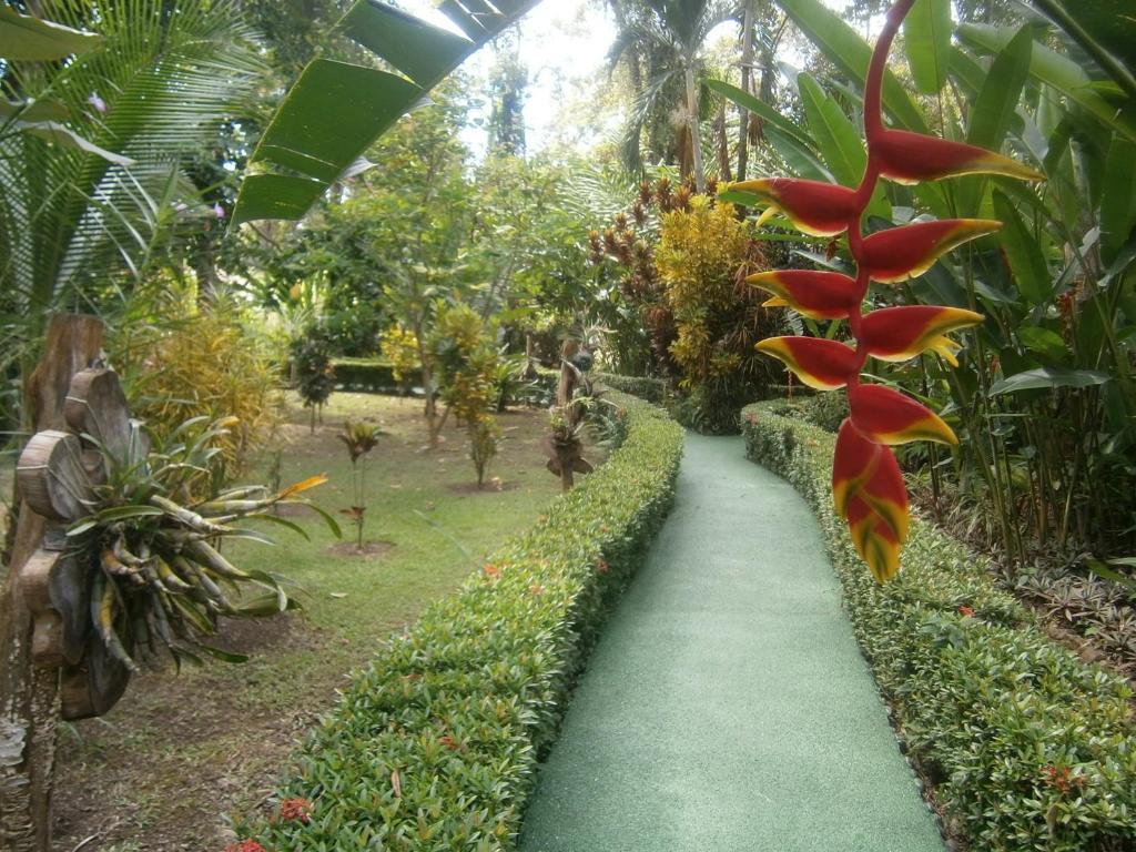 La Palapa Ecolodge Portalon ภายนอก รูปภาพ